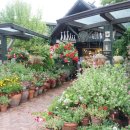 정원오리농장 이미지