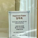 해피니스퍼피