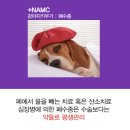 24시 숨 동물병원 이미지