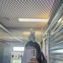 사회적협동조합 와룡 이미지