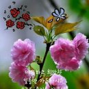 행복한 아침 이미지