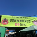 에버만물 이미지
