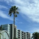 24시 카페 몽몽 | 제주 해비치 호텔 킹 스위트룸 / 룸서비스 / 섬모라 조식 / 부대시설 / 숙소 추천