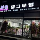 댕그루밍 이미지