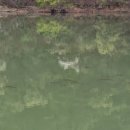 무지지천 이미지