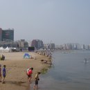 포항 국제 불빛 축제장 전경 이미지