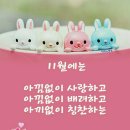 １１월 이미지