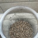 테라리움 클래스 이미지