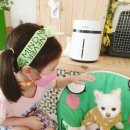 뽀도독 애견카페 이미지