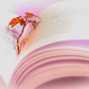 창녕파3 골프랜드 이미지