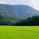 삼남개발(주) 기흥컨트리클럽 이미지