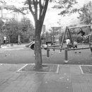 추억이 담긴것 이미지