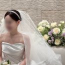 올로르 이미지