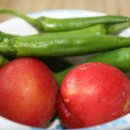 수현농원 이미지