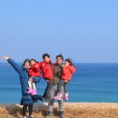 칠포농장 이미지