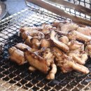 바다산곰장어 이미지