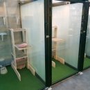 화이트펫# 이미지