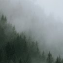 쉼표한의원 이미지