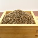 고참들 마당 이미지