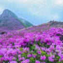 향토 농특산물 판매장 네이버블로그