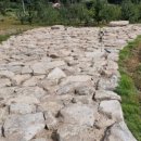 배암농장 이미지