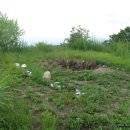 김흥근 선생 묘 이미지