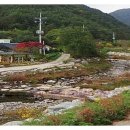 평창OK공인중개사사무소 이미지