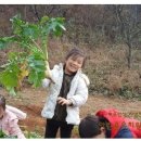 뽑기동산 이미지