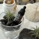 향기킁킁 오감톡톡 아로마와 함께읽는 그림책 미술 | 천연 섬유질 자연친화 클래이 오감 감성 이오난사 화분 , 향기 디푸져 제작 단체수업