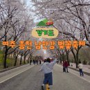 도이치트럭판매서비스(주) | 경기도 여주 벚꽃 명소 가볼만한곳 흥천 남한강 벚꽃축제 실시간 개화 현황과 주차 및 방문 후기