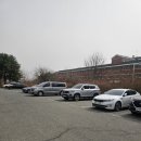 에브리마켓 | 100장의 사진과 영상으로 총정리 자운대슈퍼마켓 쇼핑꿀팁 정말 저렴하네요