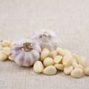 샘양지마을 이미지