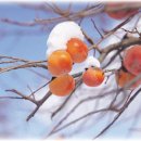 정호진농장 이미지