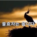 [유튜브 노래방]불효자는 웁니다 이미지