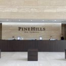 파인힐스 관광호텔 이미지