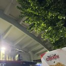 오토매니져 | 야구장 가는 짓 하지마세요 민폐입니다 :: 250916 의주 마키 잠실야구장 두산 vs 키움 시구 시타 직관 후기