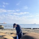 (주)삼원렌트카 | 3박4일 12월의 제주도 여행 3일차 2편<사계해변 / 까멜리아힐 / 동문시장>