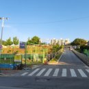 원주중앙초등학교 이미지