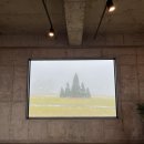 보롬제주 | 제주 비 오는 날의 보롬왓 솔직 후기 (입장료, 실내 &amp; 야외 정원, 주차 정보)