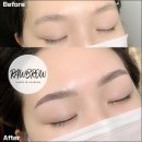 텐즈힐 애견미용 | 왕십리 애견 목욕·미용 / 예민한 비숑 도그올로지 후기