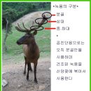 선진목장 2 이미지