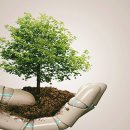 연무마이스터고등학교 이미지