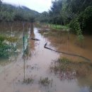 비안농장 이미지