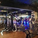 팀비식스 이미지