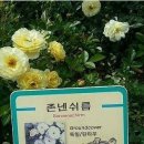 꽃을주는사람 이미지