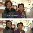 2025 피크페스티벌 양일 후기 - 자우림, 이승윤, 터치드, 유다빈 밴드 리도어, 엔플라잉, 한로로
