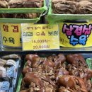 화청상회