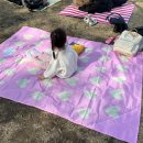 트래블에이드 피크닉매트 후기, 아이와 봄나들이 필수템