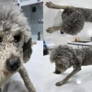 대곡1구 이미지