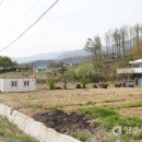 솔마을펜션 이미지